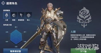 天堂2职业全解析:三大弓手、三大法师、三大刺客,总有一款适合你! 天堂2职业全解析:三大弓手、三大法师、三大刺客,总有一款适合你!