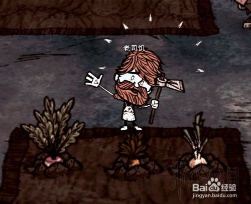 《饥荒》暴食盛宴攻略：独家食谱与全食物制作技巧揭秘