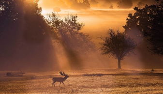 跨越时光的经典重生
