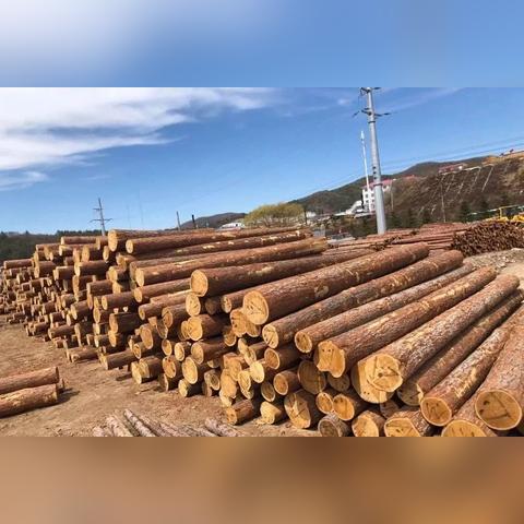 堡垒之夜木材富集地揭秘：高效采集攻略指南