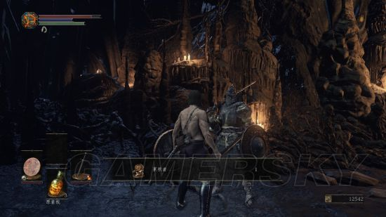 《黑暗之魂3》快速通关秘诀：独家攻略助你一臂之力