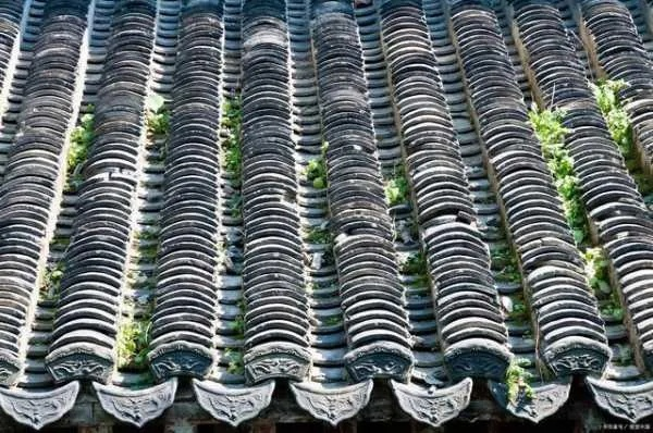 青瓦遮阳不避风,快来测试你的脑力