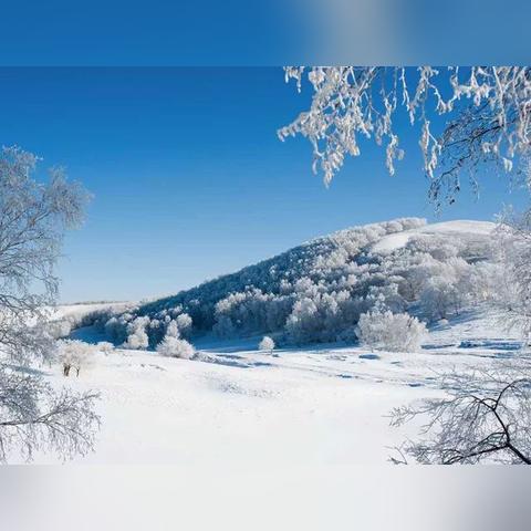 雪原圣地,  到底有什么秘密