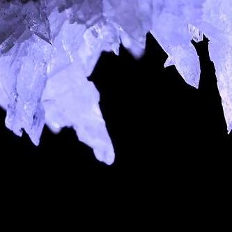 探秘暗夜格斗手游官网下载，开启热血格斗新征程