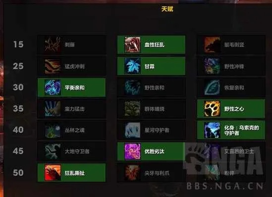 德鲁伊天赋,熊T天赋符文怎么选择