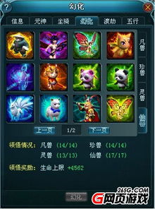 斗气装备套装属性如何搭配？这份攻略教你战力飙升！