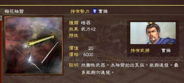 《三国志13》名品获取攻略：揭秘价值效果与独特获取途径