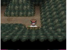 口袋妖怪白攻略,口袋妖怪白金冠军之路走法