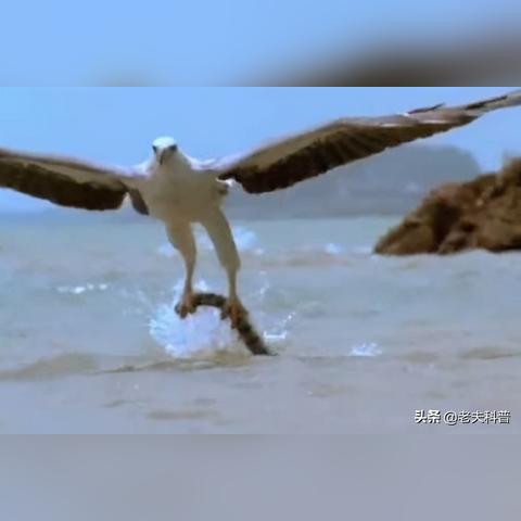 吞食天地 2 潇洒改版攻略，畅游经典游戏新体验