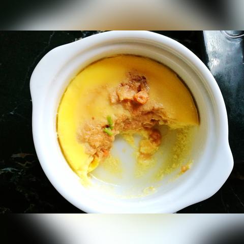 与布丁酱一起洗澡,到底有什么乐趣？