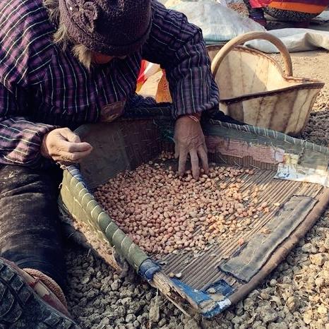 如何挑选高品质老奶奶花生米？