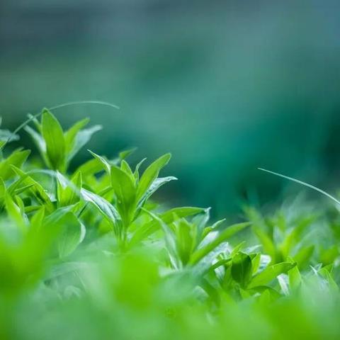 我的世界喷泉设计图分享：建造属于你的美丽水景