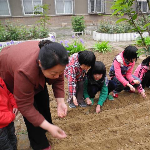 最新地震消息,生命的考验与希望的曙光 最新地震消息,生命的考验与希望的曙光