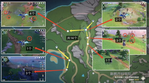 遗迹龙兽攻略:高效讨伐路线解析,点位分布全揭秘 遗迹龙兽攻略:高效讨伐路线解析,点位分布全揭秘