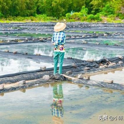 暖暖环游世界南极攻略,如何搭配才能温暖又时尚