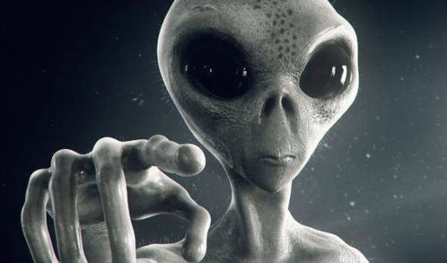 蔑视：探索空无外星飞船中的生死绝境