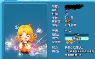 炫舞宠物名字alexander,Alexander这名霸气又好用吗