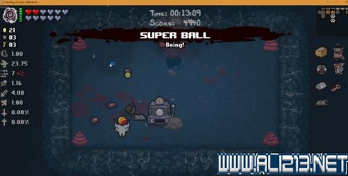 《以撒的结合胎衣》道具图鉴：深度解析，解锁神秘视觉效果