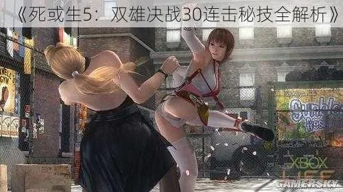 《死或生5》终极对决攻略：系统解析+招式帧数揭秘，深度解析！