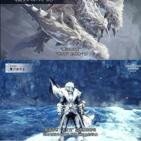 《怪物猎人荒野》第三弹更新：9星历战个体来袭，独家新玩法揭秘！