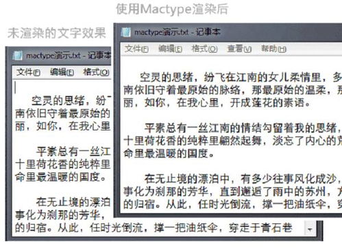 原神赛诺成长必备：材料清单与高效搜集攻略揭秘