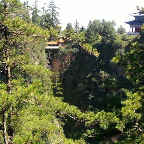 《守望先锋归来》雾子全新技能解析：揭秘神秘概念设计亮点