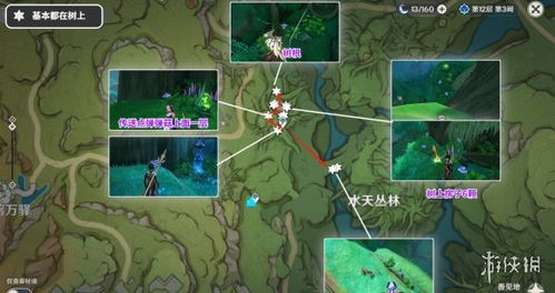 《原神》树王圣体菇攻略：高效采集路线大揭秘，轻松解锁稀有资源