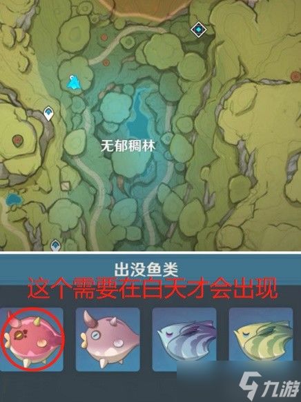 《原神》须弥钓鱼攻略:高效竭泽捕鱼技巧揭秘! 《原神》须弥钓鱼攻略:高效竭泽捕鱼技巧揭秘!