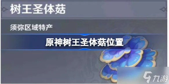 《原神》树王圣体菇高效速刷攻略,轻松掌握稀有资源 《原神》树王圣体菇高效速刷攻略,轻松掌握稀有资源