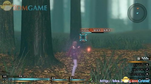 极夜幻想剧攻略：V2.8海岛活动必看高效玩法揭秘