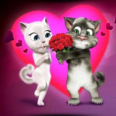 汤姆的情书哪里有？快来这里看汤姆猫的浪漫情书！