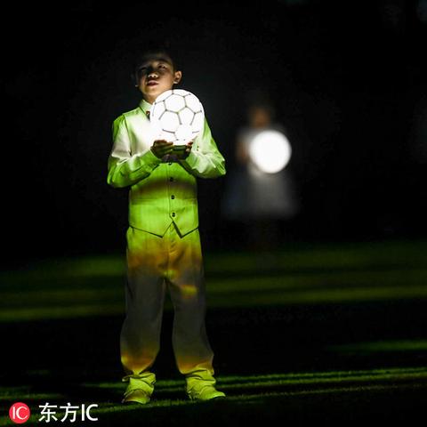 梦幻西游种子收益表，深度剖析与实用指南