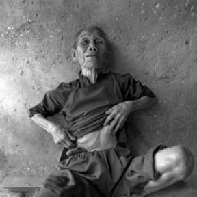 《见证者》画面玩法揭秘！深度解谜体验，这款游戏究竟有多好玩？