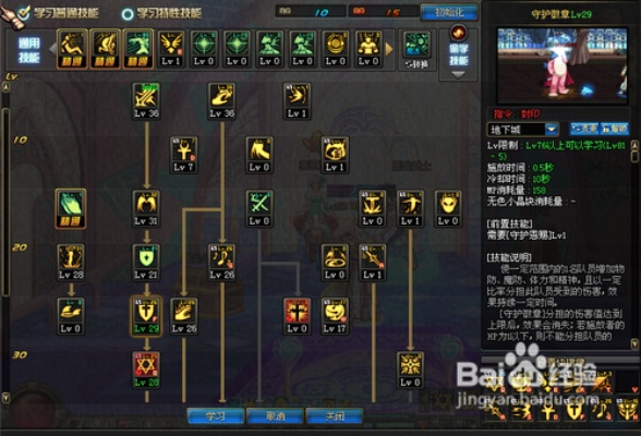 dnf圣职者加点100版本,  奶C技能怎么加