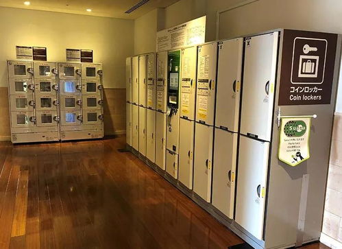 《寂静岭f》储物柜密码攻略：解锁全学校柜门密钥技巧揭秘