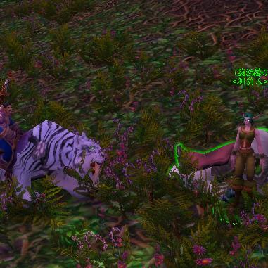 探寻魔兽世界，哪款战袍最为好看