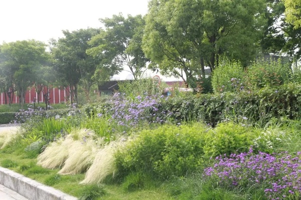 手机公园, 还是只是个噱头