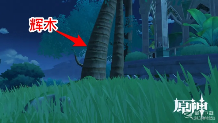 《原神》证悟木高效搜集攻略:快速获取证悟木秘籍分享 《原神》证悟木高效搜集攻略:快速获取证悟木秘籍分享