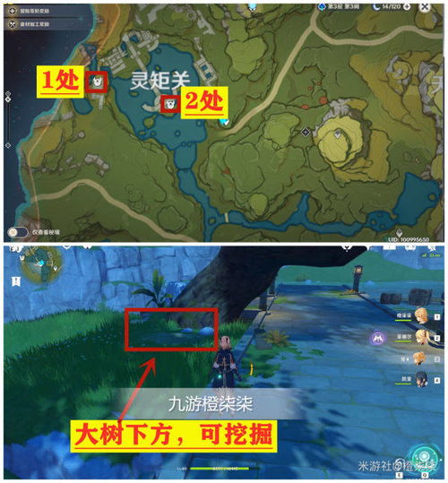 《原神》须弥地下探险指南:揭秘地图结构与神秘宝藏 《原神》须弥地下探险指南:揭秘地图结构与神秘宝藏