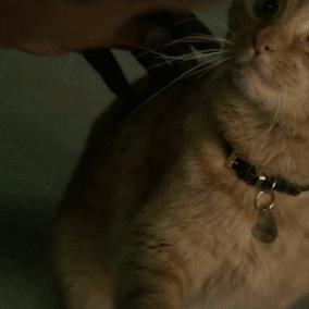 《DOTA2》7.32更新:兽加入队长模式,全新竞技体验来袭 《DOTA2》7.32更新:兽加入队长模式,全新竞技体验来袭