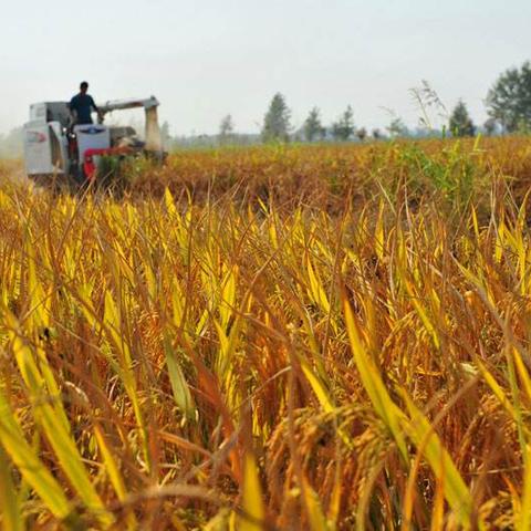 《最远边陲》攻略：高效贸易站操作技巧揭秘，轻松提升收益