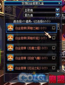 DNF徽章镶嵌全解析，探寻徽章应镶嵌之处