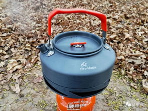 《原神》尘歌壶归枫居搭建攻略：新手必看快速上手技巧