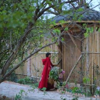 春庭如旧V2.8海岛活动攻略:春日海岛全收集秘籍大揭秘 春庭如旧V2.8海岛活动攻略:春日海岛全收集秘籍大揭秘