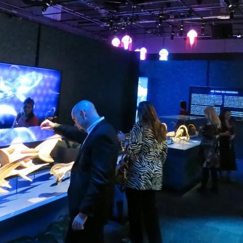 王者荣耀更新维护时间解析，何时结束的奥秘探寻