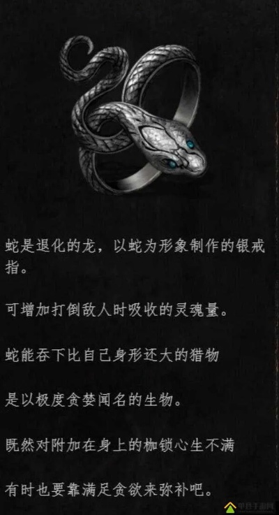 《黑暗之魂重制版》戒指攻略：全面解析与高效获取技巧揭秘
