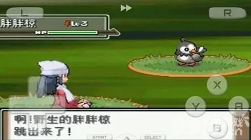 口袋妖怪起源金心攻略,蛇纹熊的拾荒技能妙用多