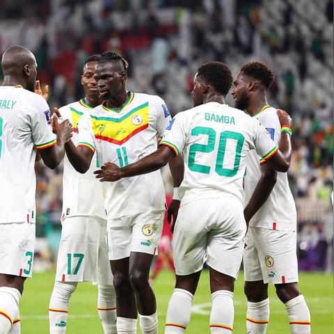 厄瓜多尔vs塞内加尔预测比分结果 专家分析来了！