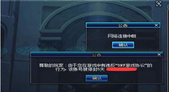 dnf封号查询器（如何避免被封号）