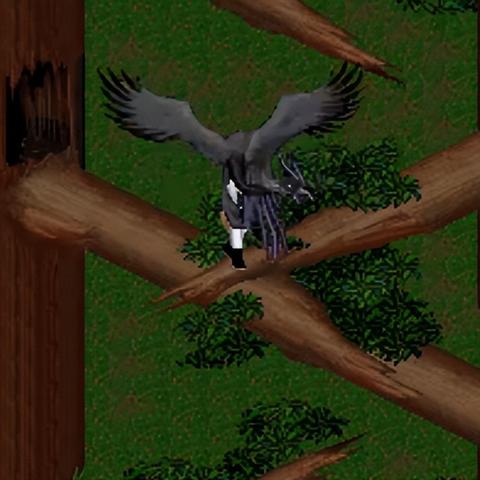 仙剑奇侠传4迷宫地图详细攻略,附带宝箱位置和怪物打法! 仙剑奇侠传4迷宫地图详细攻略,附带宝箱位置和怪物打法!